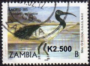 Zambia 1120 - Used - 2.50k on B Sacred Ibis (2010) (cv $1.75)