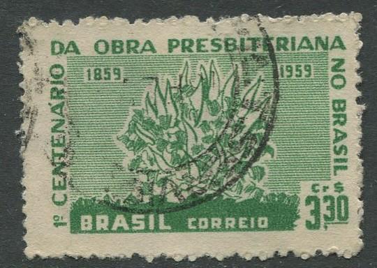 Brazil - Scott 902 - Burning Bush - 1959 - Used- Single 3.30cr Stamp