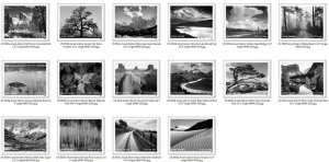 US 5854a-5854p Ansel Adams F set 16 MNH 2024 after May 25