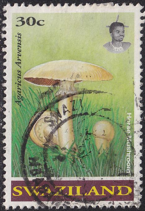 Swaziland 632 Horse Mushroom 1994