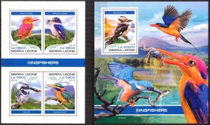 Sierra Leone 2018 Birds Kingfishers sheet + S/S MNH