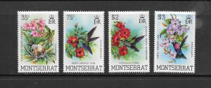 BIRDS - MONTSERRAT #497-500 MNH