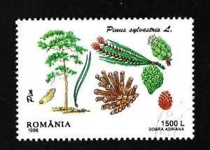 Romania 1996 - CTO - Scott #4119