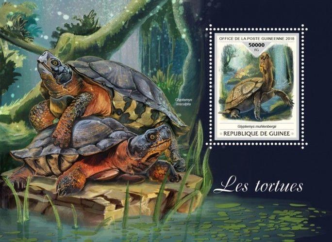 Z08 IMPERF GU18411b GUINEA (Guinee) 2018 Turtles MNH ** Postfrisch