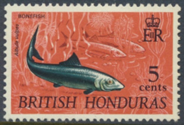 British Honduras  Sc#  238   MVLH wmk upright  please read details   see scans 