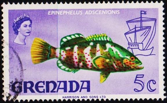 Grenada. 1968 5c S.G.309 Fine Used