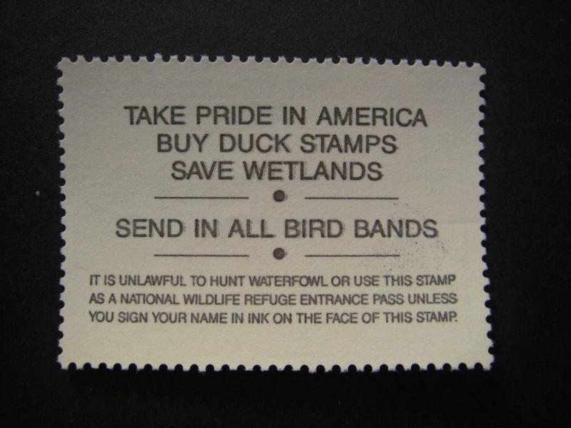 RW58, $15 King Eiders, MNH Single, Beautiful Stamp