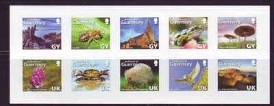 Guernsey Sc 925 2007 Guernesiase stamp sheet mint NH