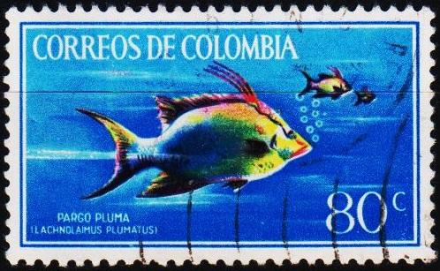 Colombia. 1966 80c S.G.1176 Fine Used