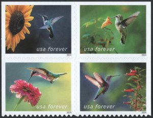 NEW ISSUE (Forever) Garden Delights Booklet Block of Four (2024) SA