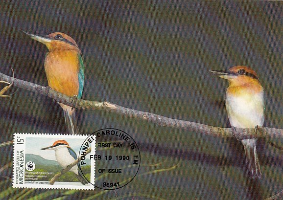 Micronesia 1990 Maxicard Sc #107 15c Micronesian kingfisher WWF