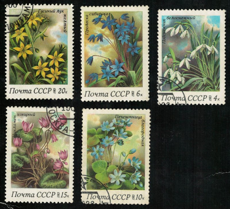 Flowers 1983 (4260-T)