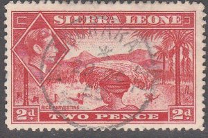 SIERRA LEONE 1955 GVI 2d - MAGBURAKA S.L cds : in use 1954-1961.............7124