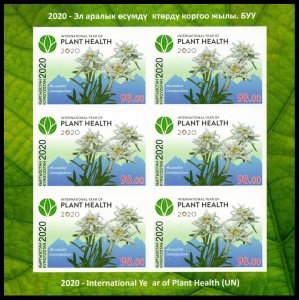 2020 Kyrgyzstan 994KLb International Year of Plants (edition 300)