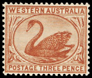 WESTERN AUSTRALIA 53  Mint (ID # 118258)