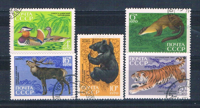 Russia 3759-63 Used set Animals from reserve 1970 (R0876)