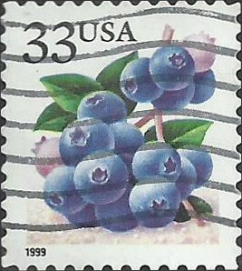 # 3294 USED BLUEBERRIES