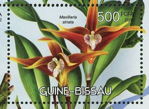 Orchids Stamp Flowers Laeliocattleya Sayana Souvenir Sheet MNH #6052-6055