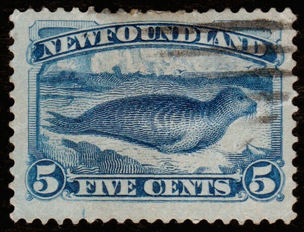 Newfoundland Scott 55 (1894) Used F, CV $6.50 C