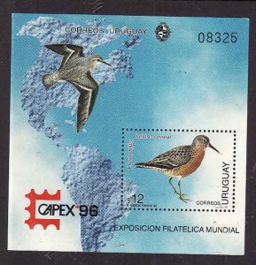 Uruguay-Sc#1615-unused NH sheet-Birds-Maps-Capex 1996-