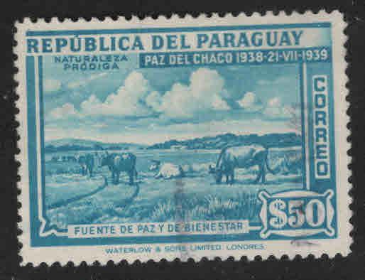Paraguay Scott 372 Used stamp