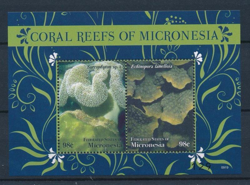 [34929] Micronesia 2009 Marine Life Coral reefs MNH Sheet