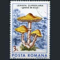 ROMANIA 1986 - Scott# 3408 Mushrooms 3l CTO