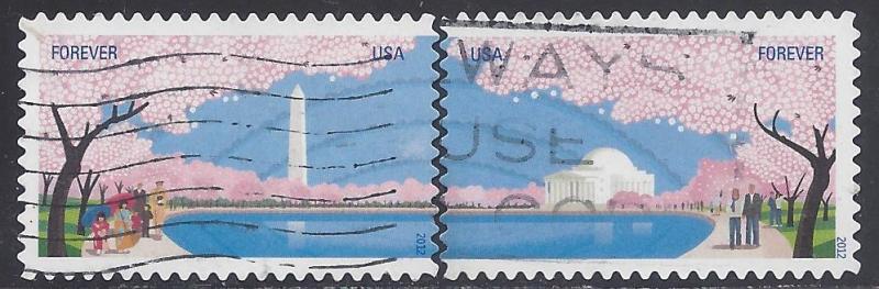 #4651-4652 (45c Forever) Cherry Blossom Centennial Pair 2...