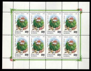 Russia Scott 6198a Cactus Flower miniture sheet CV $7.50