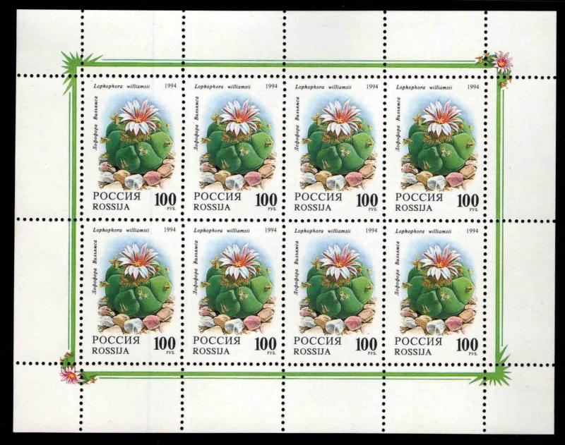 Russia Scott 6198a Cactus Flower miniture sheet CV $7.50