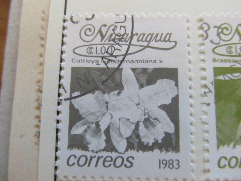 Nicaragua 1983 Flower 1cor fine used stamp A11P11F109