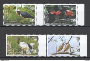 2020 Tonga Ibis Water Birds Of The World Fauna Set ** Nw0534