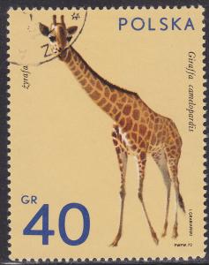 Poland 1889 Giraffe, Wild Game 40GR 1972