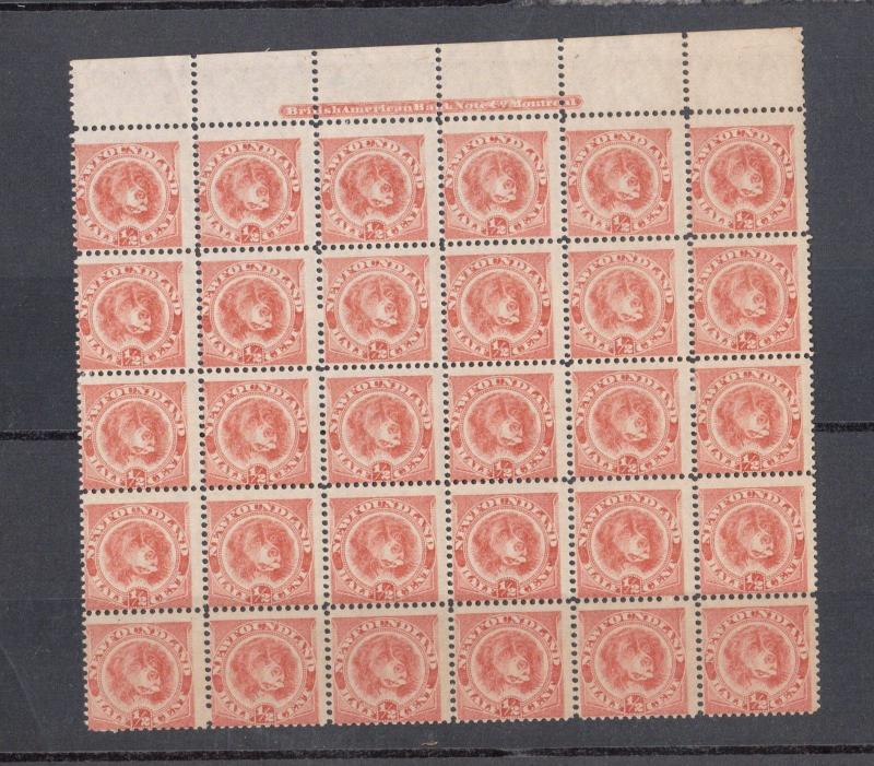 Newfoundland #57 Mint Rare Plate Block Of Thirty