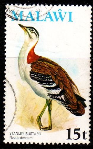 MALAWI [1975] MiNr 0235 X ( O/used ) Vögel