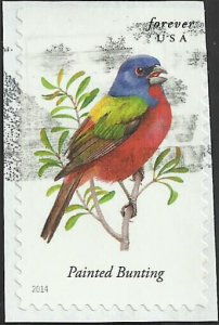 # 4885 USED PAINTED BUNTING