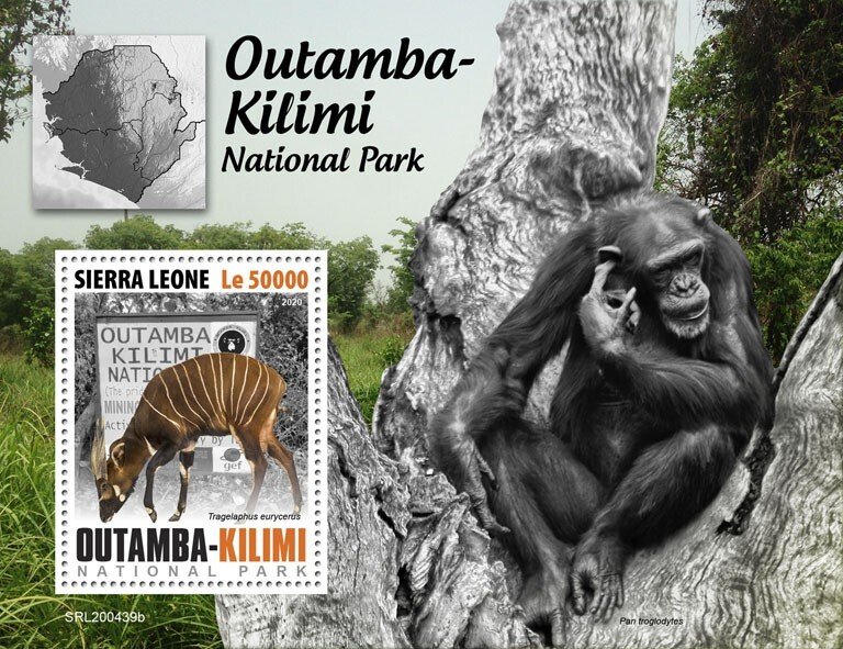 SIERRA LEONE - 2020 - Outamba-Kilimi Nat.Park.-Perf Souv Sheet-Mint Never Hinged