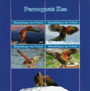 Chad Birds on Stamps 2020 MNH Parrots Kea Parrot 4v M/S 