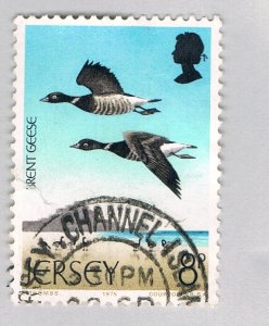 Jersey 131 Used Geese 1975 (BP64925)