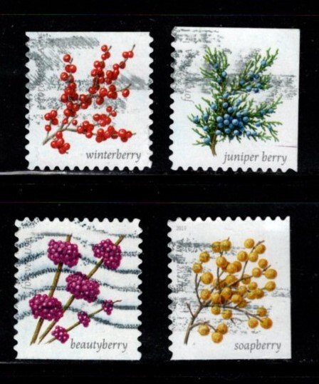 #5415- 5418 Winter Berries set/4 (off paper) - Used