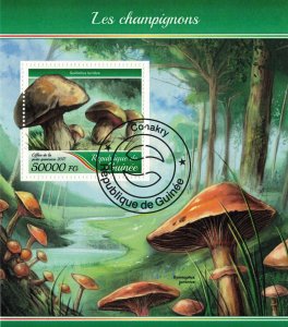 GUINEA 2017 - Mushrooms / complete set - sheet+block (2 scans)