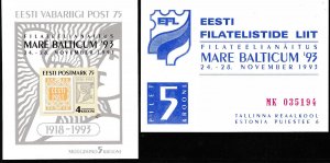 Estonia Scott 260a Sheet Mare Balticum '93 Stamp EXPO W/TICKET. NH/(**)/VF