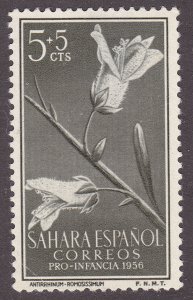 Spanish Sahara B37  Antirrhinum Romosissimum 1956