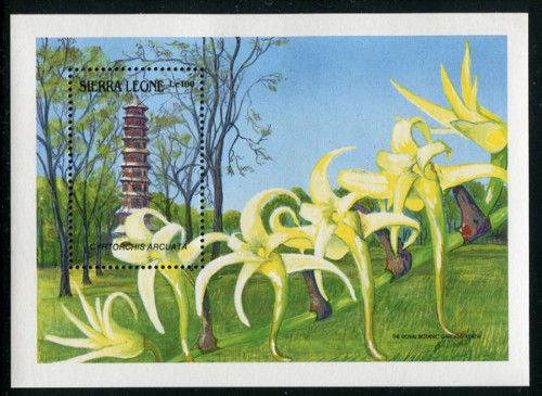 Sierra Leone 1086, MNH, Flowers Orchids. x1764