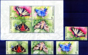 Fauna. 2003 Butterflies.