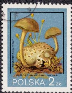 Poland 2397 1980 Used