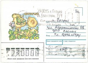 MUSHROOMS - POSTAL STATIONERY COVER : Belarus 1994