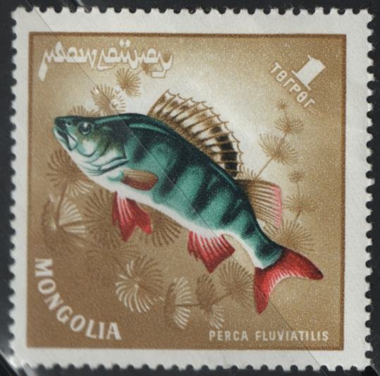 MONGOLIA 396 MNH Fish