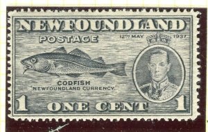 NEWFOUNDLAND; 1937 early GVI issue fine Mint hinged 1c. value