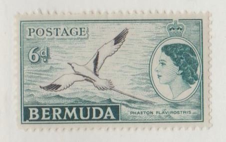 Bermuda Scott #152 Stamp - Mint Single